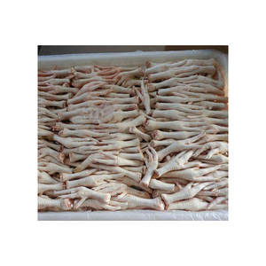 Export-ready <b>chicken</b> feet wholesale stock bulk purchase discount price fast shipping - Product Image 2