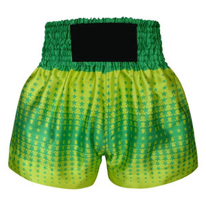Precio al por mayor de alta calidad Muay Thai Shorts Sublimación Imprimir Bjj Pantalones de entrenamiento Kick Boxing Muay Thai Shorts - Product Image 1