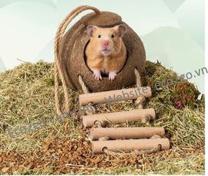 Casa de Nido de Pájaro de coco de alta calidad, casa de Nido de Pájaro de coco con escalera colgante - Product Image 6