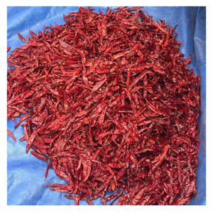 Piments rouges séchés épicés du Vietnam vente en gros de piments séchés nouvelle récolte de poivron rouge de qualité supérieure au meilleur prix pour l'exportation - Product Image 5