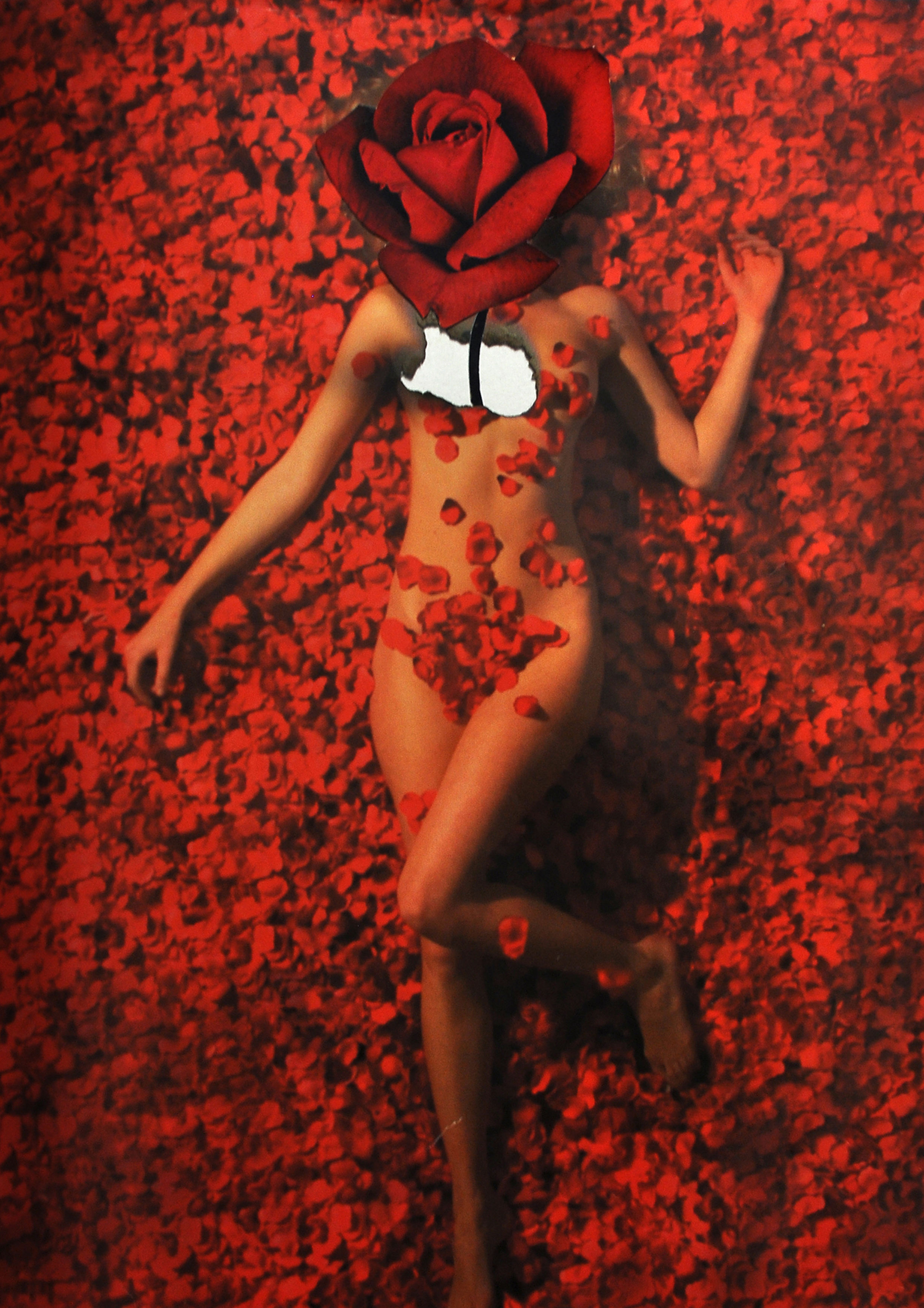 ความงามแบบอเมริกัน