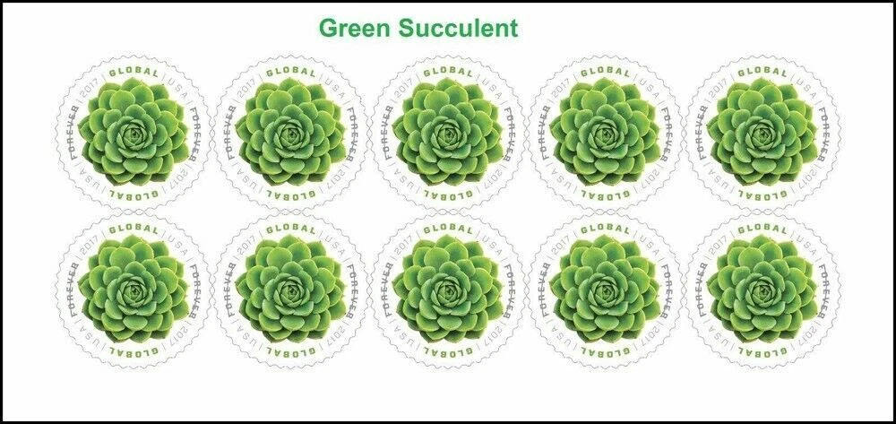 2017 succulentes vertes 500374-J2-93-17LH