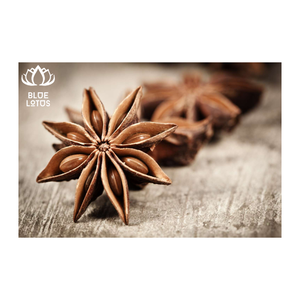 Anís estrellado seco de ALTA CALIDAD-Especias limpias y fragantes para exportación-Adecuado para restaurantes y distribuidores - Product Image 1