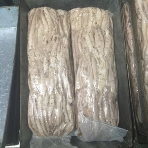 Filetto Singolo di Tonnetto Skipjack Congelato e Cotto con 10% di Scaglie Precotte 3kg Qualità Sushi per Inscatolamento - Product Image 4