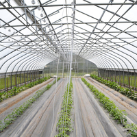 Serre de tunnel de ferme Film plastique agricole Serre de tomate à vendre Options vertes pour l'agriculture biologique
