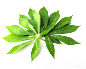 Hojas de yuca congeladas listas para el principal exportador Verduras congeladas de alta calidad con garantía de calidad - Product Image 5