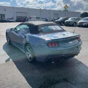 2024ราคาไม่แพงสำหรับ-D Mus-Tang ecob-Oost pre mium - Product Image 4