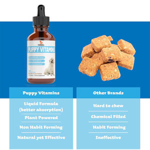 Oem multivitaminico liquido per cani tutti i giorni glucosamina vitamina B C d 3 supporto per gatti gatti al coperto cura le articolazioni fianchi - Product Image 2