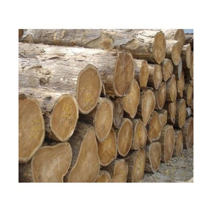 Bûches de bois d'Okan fournies en grande quantité pour les revêtements de sol et menuiseries - Product Image 3