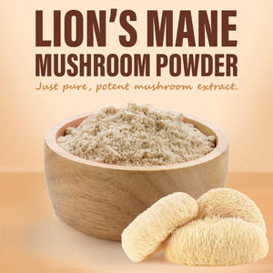 Poudre de champignon crinière de lion de haute qualité OEM/ODM, poudre naturelle pour le corps, favorisant la concentration cérébrale, l'énergie et la santé immunitaire - Product Image 5