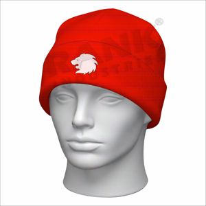 Bonnet en tricot de style moderne fabriqué au Pakistan, couleur personnalisée, bonnet en jacquard, logo personnalisé - Product Image 2