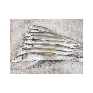 Poisson ruban frais congelé entier, prix du marché, durée de conservation de 2 ans - Product Image 3