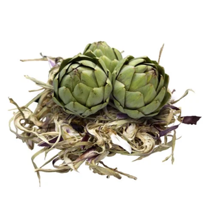 Qualité de fleur fraîche d'artichaut de haute qualité du Viet Nam - Product Image 6