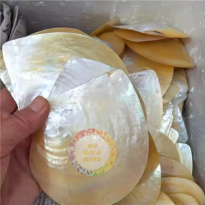 Puces de coquille de vadrouille en nacre blanche scintillante pour guitare et art DIY - Caryln 0084935825297 - Product Image 2