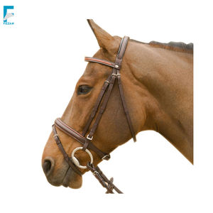 Meilleure vente de bride équestre professionnelle licou en cuir de haute qualité avec logo personnalisé équipement d'équitation essentiel - Product Image 5