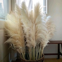 Rumput Pampas krem besar untuk pernikahan & Rumah, bunga asli diawetkan halus dalam vas lantai untuk dekorasi Natal yang menakjubkan