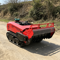 Broyeur sur chenilles économique à moteur essence 4x4 CE pour la gestion de la végétation des vergers et des pâturages