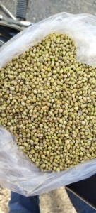 เมล็ดผักชีรูปนกอินทรีคุณภาพสูงสมุนไพรซอร์เท็กซ์สำหรับทำอาหาร - Product Image 2