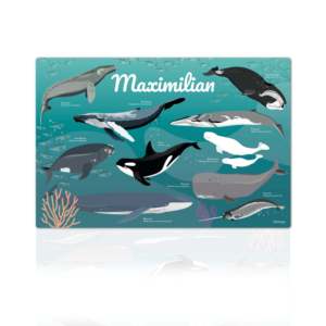Personalized 40x60 cm Fabric Desk Mat with Cartoon Sea Creatures and Custom Name Featuring Whales Design - Product Image 1