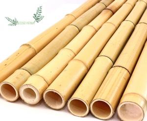 Vente en gros de poteaux de bambou Tailles personnalisées Couleur naturelle Prêt à exporter Eco2go Vietnam Durée de conservation de 2 ans Sans additifs - Product Image 1