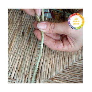 Des joncs de mer crus éco-conscients pour l'artisanat, le tressage et les accessoires de meubles-Disponible en approvisionnement en vrac - Product Image 4