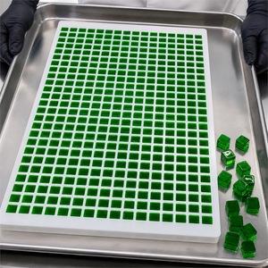 Molde de Goma Geométrico Cuadrado de Suministro Directo de Fábrica con Marca Personalizada, Silicona de Grado Alimenticio para la Producción de Pectina y Gelatina - Product Image 6