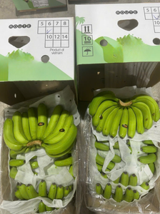 Fresh Cavendish <b>Bananas</b> Export Quality - Vietnam <b>Sweet</b> Yellow <b>Banana</b> for International Market Wholesale Bulk Price - Product Image 5