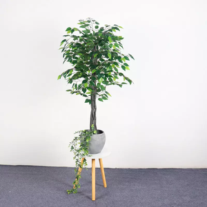 ต้นไทร/ต้นเบนจามิน/ต้นบอนยันประดิษฐ์จากพลาสติกตกแต่ง ขนาด 145 ซม. ใช้ได้หลากหลายโอกาสสำหรับตกแต่งคริสต์มาสและเทศกาลอ็อกโทเบอร์เฟสต์ - Product Image 2