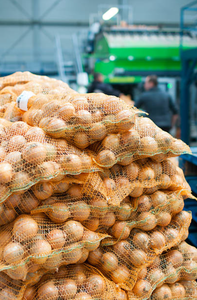 จำหน่ายหัวหอมแช่แข็ง IQF ผลผลิตใหม่ ขายส่งจำนวนมาก อัตราการสั่งซื้อซ้ำ 100% - Product Image 3