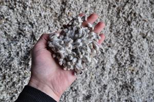 Graines de coton biologique de qualité supérieure de haute qualité en gros et au détail Graines de coton séchées - Product Image 5