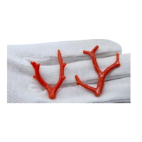 Paire de 18 carats assortis en forme de bâton de corail rouge italien naturel poli rugueux corail de mer Méditerranée pour la fabrication de bijoux boucle d'oreille