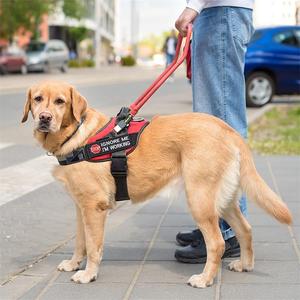 Özel hizmet köpek köpek yelek yamalar çıkarılabilir taktik yamalar işlemeli raptiye kanca döngü yama - Product Image 4