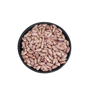 Frijoles Pinto de riñón moteados ligeros redondos de forma larga para alimentos más nuevos - Product Image 5