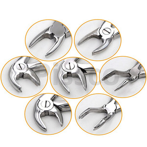 Best Company Pissco For Quality Stainless Steel Dental <b>Tooth</b> Extracting Forceps Set 7 Piece <b>Tooth</b> Extraction <b>Tool</b> - Product Image 1