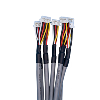 2,54mm DuPont Elektronischer Kabelbaum 16-polig PVC-Kabelkonfektion Kupferkern 24V Nennspannung Bildschirm USB 300mm IP20