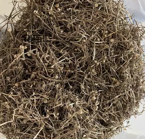 สมุนไพรเฮดิโอติส ดิฟฟิวซา (Oldenlandia Diffusa) แห้ง ขายส่ง วัตถุดิบสมุนไพรคุณภาพส่งออก - Product Image 3