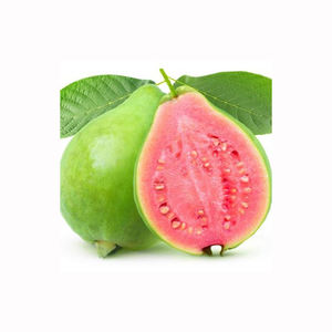Fruits de goyave frais, produits tropicaux de première qualité, saveur douce et aromatique, vente en gros, exportation, fournisseurs directs de la ferme - Product Image 5