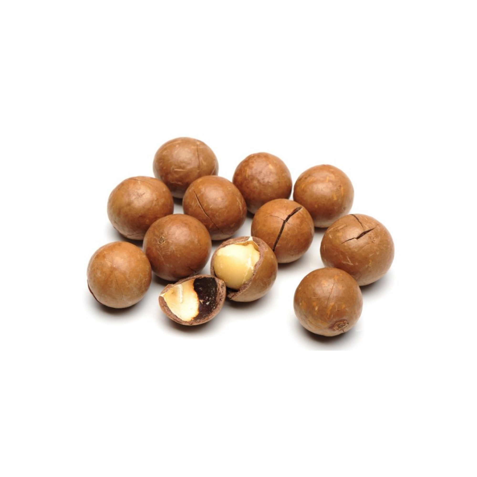 Оптовая продажа, орехи макадамия/жареные орехи макадамия в скорлупе