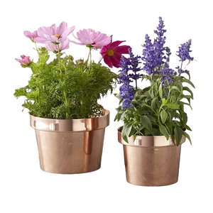 Meilleur pot de plantes Dernière jardinière de table Prix de gros Nouveau dernier pot de fleurs de jardin pour la meilleure décoration et le balcon de la maison - Product Image 4