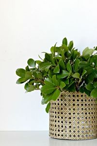 Support d'affichage élégant de pot de jardinière en rotin et en fer pour la maison, l'intérieur et l'extérieur. - Product Image 2