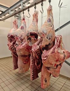 Cordero Entero Halal Orgánico Congelado al Vacío (BQF) de Grado Alimenticio, Carne de Cordero Fresca Congelada, Venta al por Mayor a Granel, Suministro para Exportación - Product Image 3