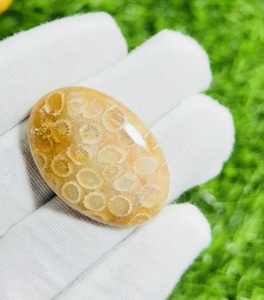 ปะการังฟอสซิลฟอสซิลธรรมชาติทำด้วยมืออัญมณีหลวมขนาดตามสั่งสำหรับทำเครื่องประดับหินคริสตัลบำบัดขายส่ง - Product Image 1