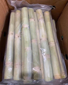 Canne à sucre congelée pour détox smoothies Fourniture en gros Bâton de canne à sucre coupé frais naturel exporté du fournisseur de boissons du Vietnam - Product Image 5