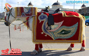 Costume de cheval brodé pour mariage indien, portable, moderne, de luxe, broderie à la main, tenue traditionnelle - Product Image 2