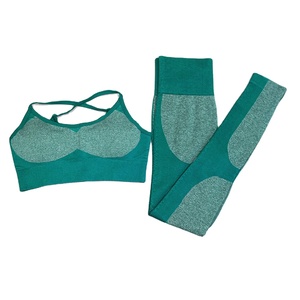 New 2-Piece Seamless Workout Set for Women-Sports Bra & Leggings Eco-Friendly Breathable Gym Clothing - Product Image 6