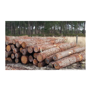 Madera de pino seca Troncos de sierra de pino a precio barato White Ash Kay Leña de calidad Horno Leña seca, roble y - Product Image 4