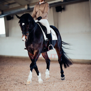 Meilleure vente de tapis de selle anglais respirant design matelassé doublure douce durable soutien confortable pour les chevaux utilisation quotidienne de l'équitation - Product Image 5