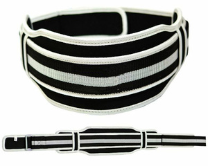 Cinturón de levantamiento de pesas de neopreno ajustable para gimnasio, cinturón de levantamiento de pesas con logotipo personalizado - Product Image 6