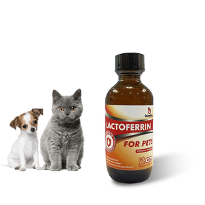OEM ODM <span class=keywords><strong>lattoferrina</strong></span> gocce ridurre l'infiammazione per pet <span class=keywords><strong>lattoferrina</strong></span> controllo gatto starnuti prevenzione del raffreddore per cani - Product Image 2
