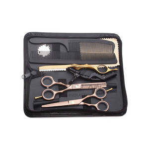 Kit de tijeras de peluquero de acero inoxidable alemán profesional personalizado, hoja Roma afilada para diestros, diseño ligero, grado A + - Product Image 1